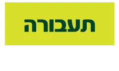 תעבורה